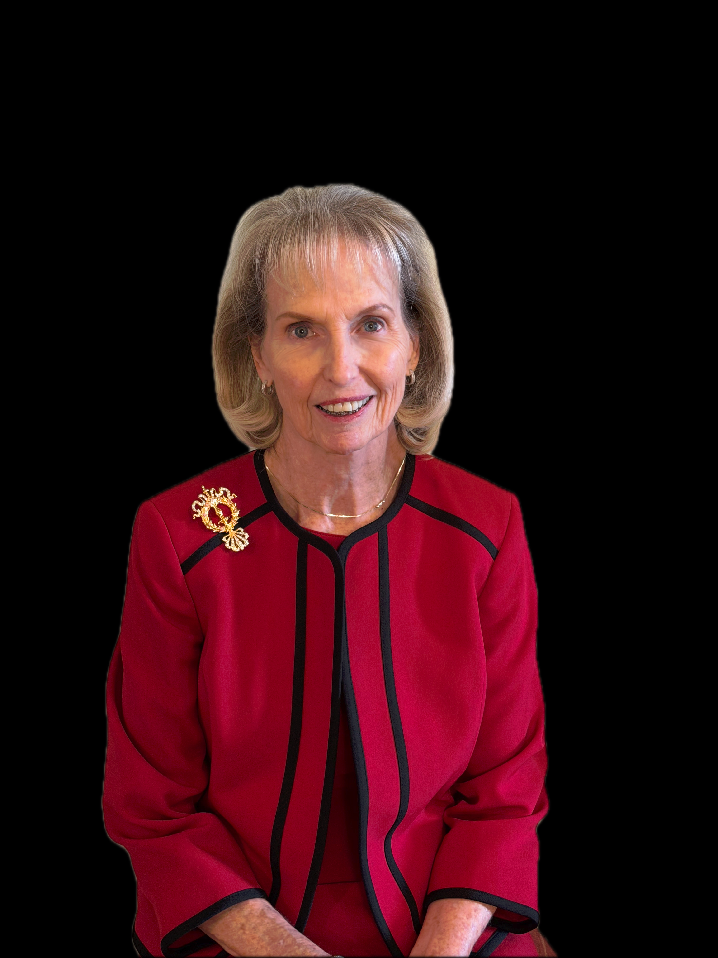 Officer portrait silhouette