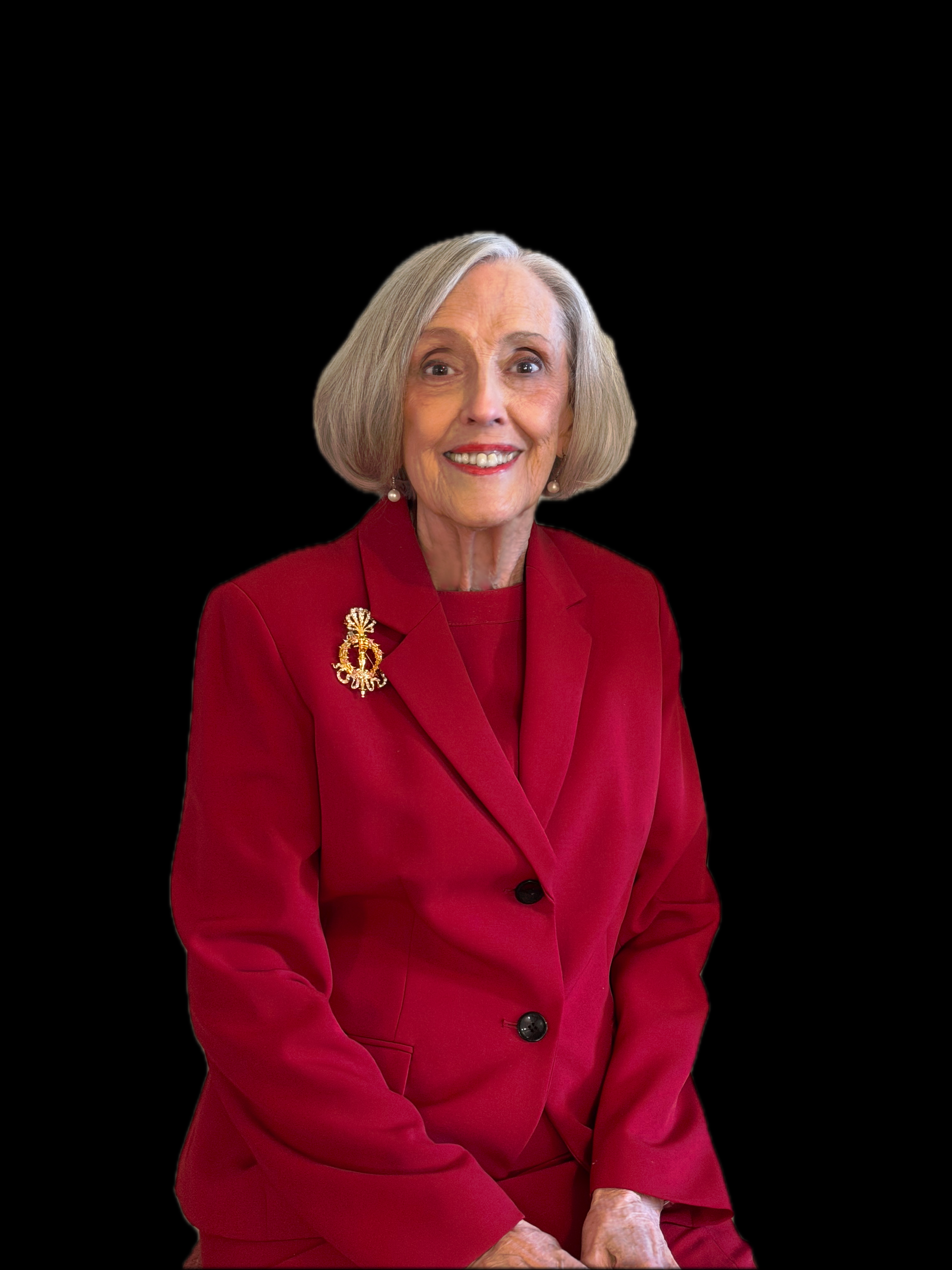 Officer portrait silhouette